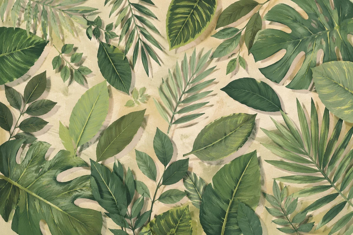 Lush Tropical Monstera Palm Leaf Background
