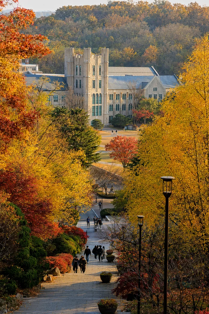 Campus Scenery 31