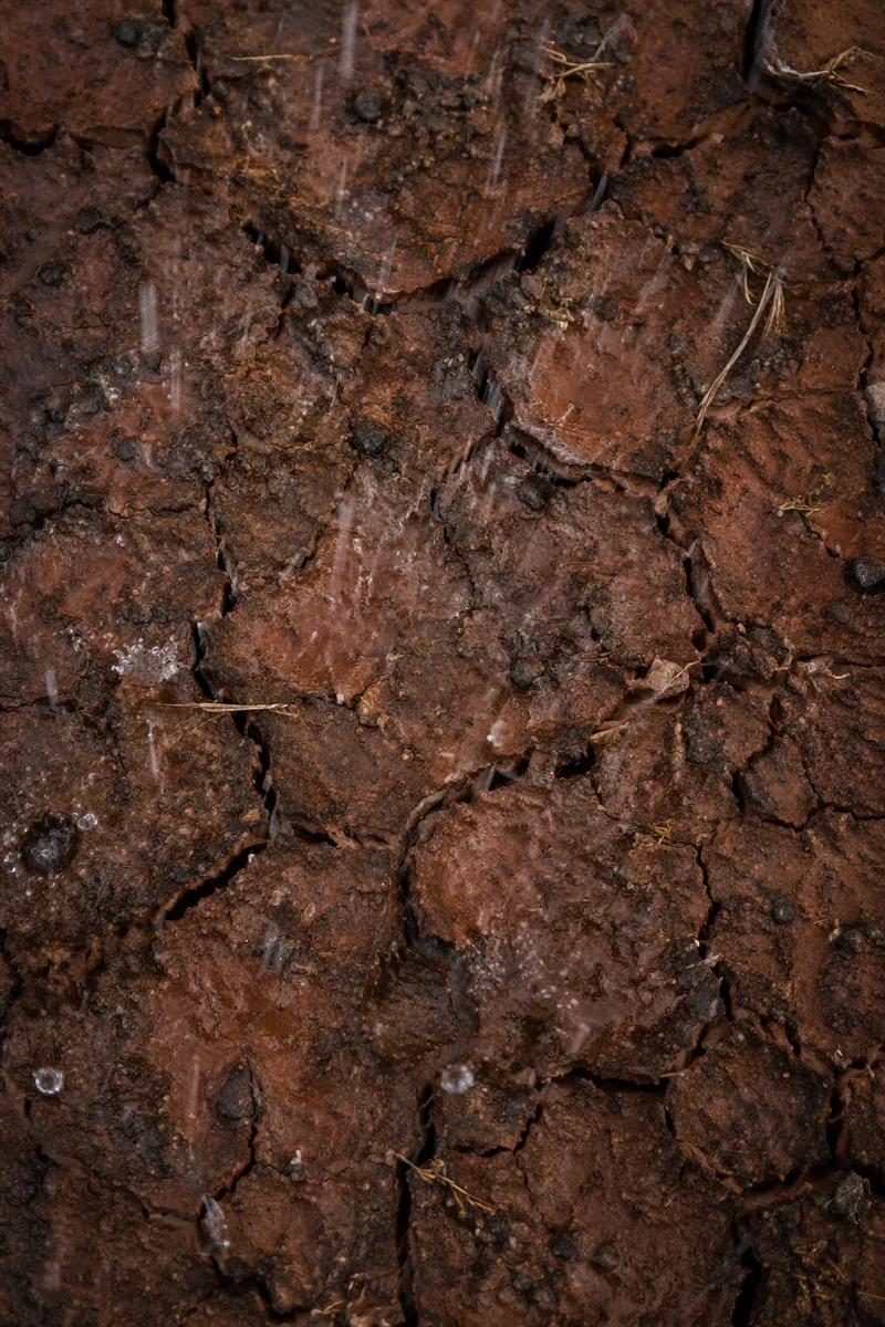 Grace Rain on Cracked Dry Earth
