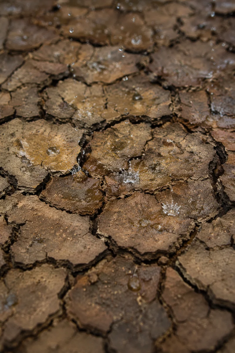 Grace Rain on Cracked Dry Earth