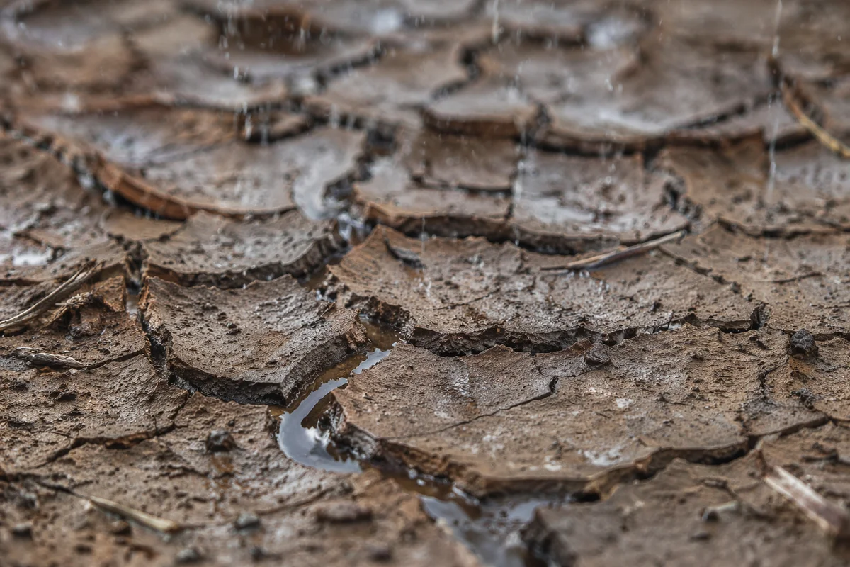 Grace Rain on Cracked Dry Earth