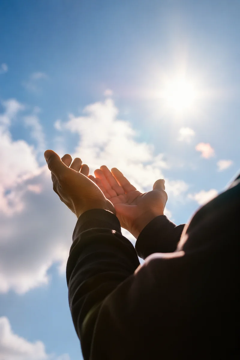 Open Hands Receiving Sunlight in Gratitude