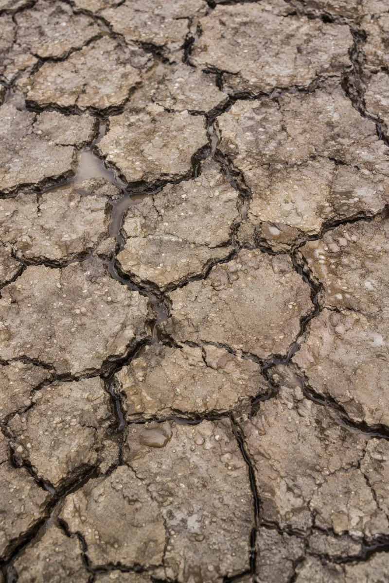 Gentle Rain Bringing Mercy to Cracked Soil