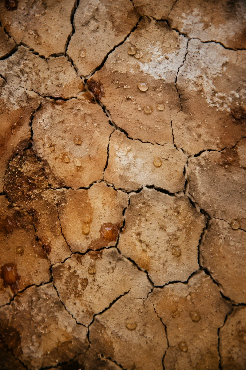 Gentle Rain of Mercy on Cracked Soil