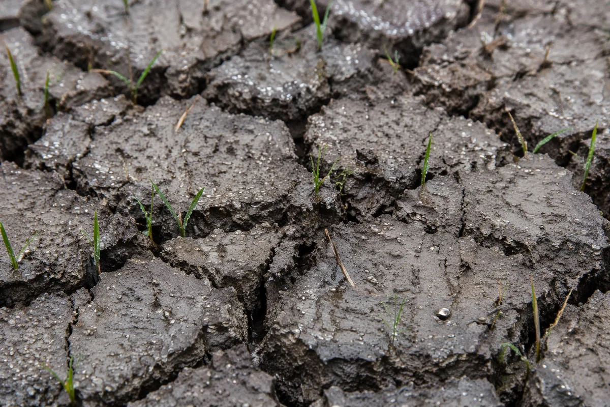 Gentle Mercy Rain on Cracked Soil