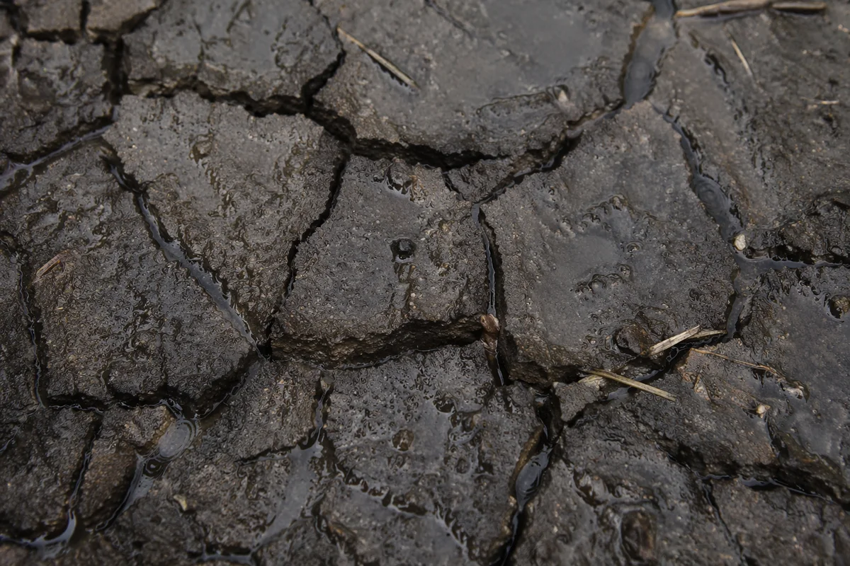 Gentle Rain Mercy on Cracked Soil