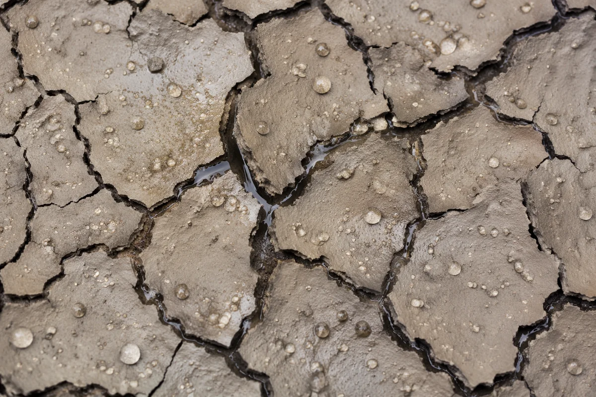 Gentle Rain Bringing Mercy to Cracked Soil