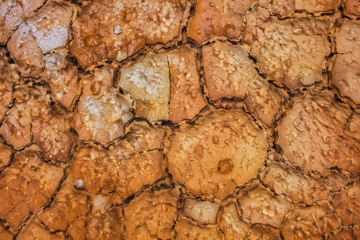 Gentle Mercy Rain on Cracked Soil