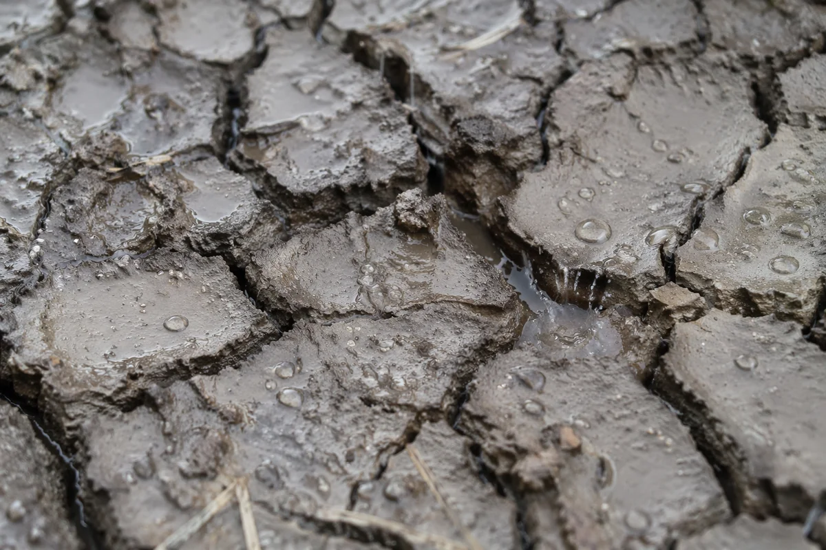 Gentle Rain Bringing Mercy to Cracked Soil