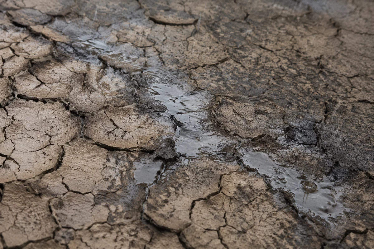 Gentle Rain Bringing Mercy to Cracked Soil