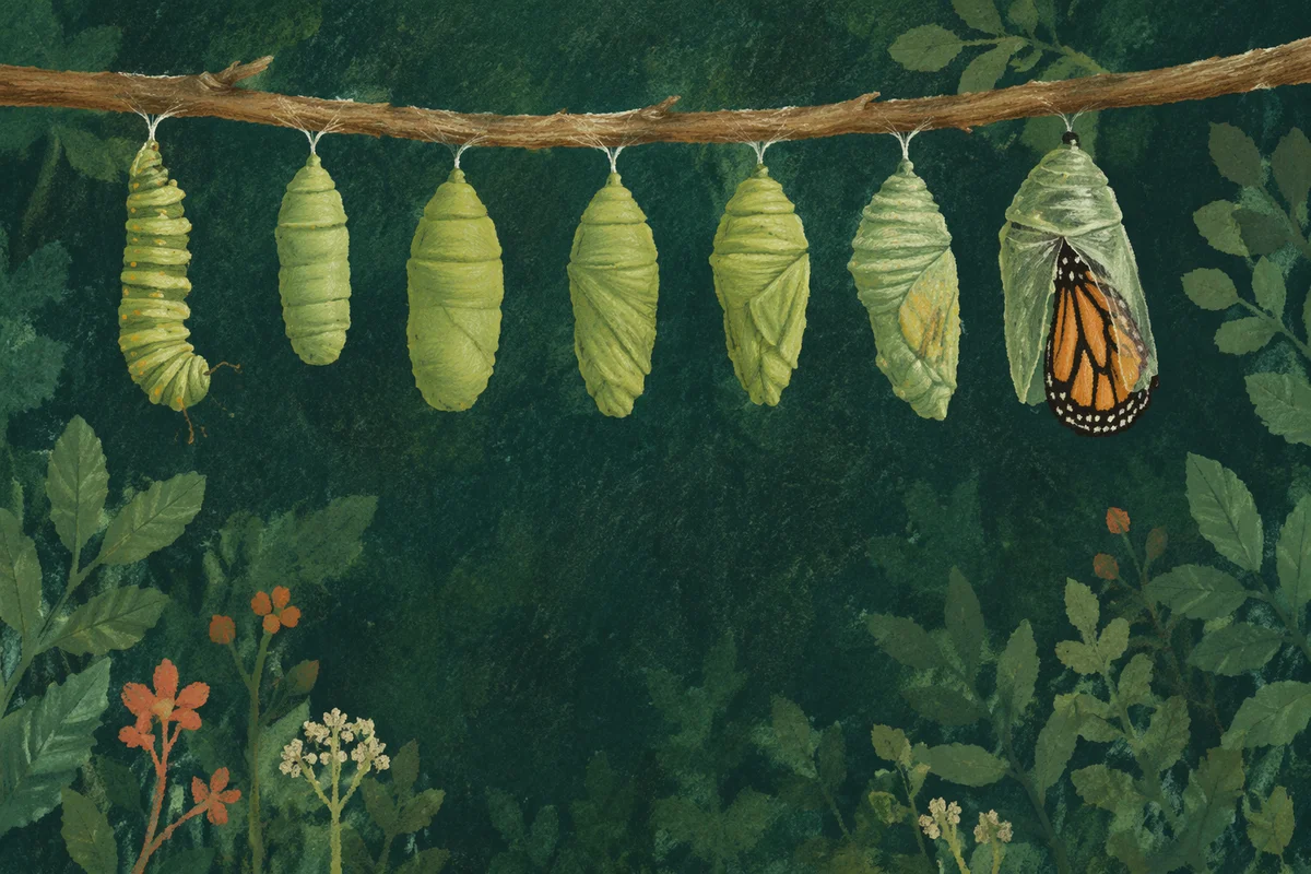 Caterpillar Chrysalis Transformation in Forest Light