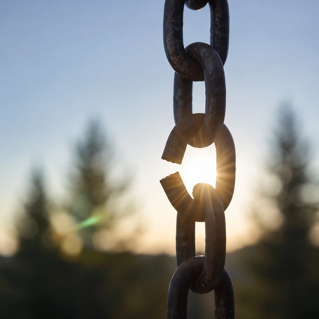 Broken Chain in Golden Evergreen Light