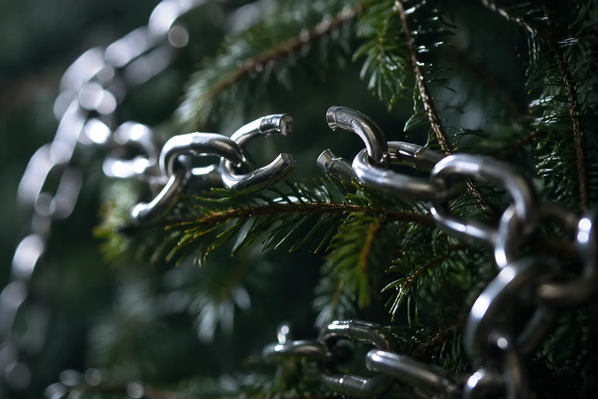 Broken Silver Chain Among Evergreen Branches
