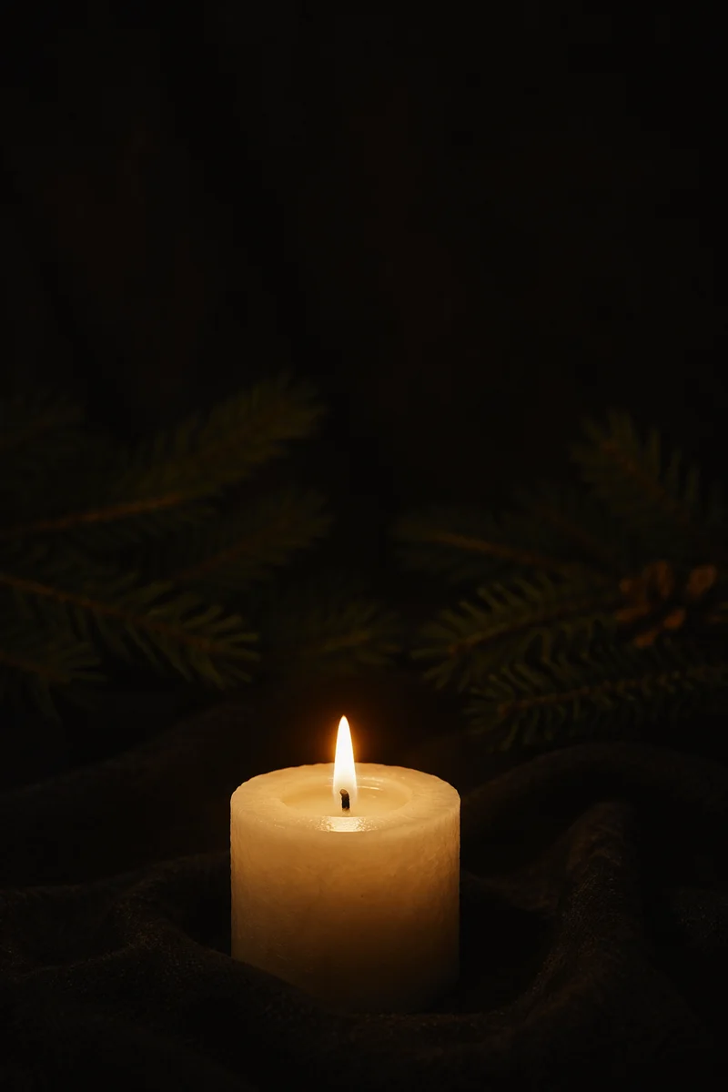 Burning Candle in Dark Evergreen Stillness