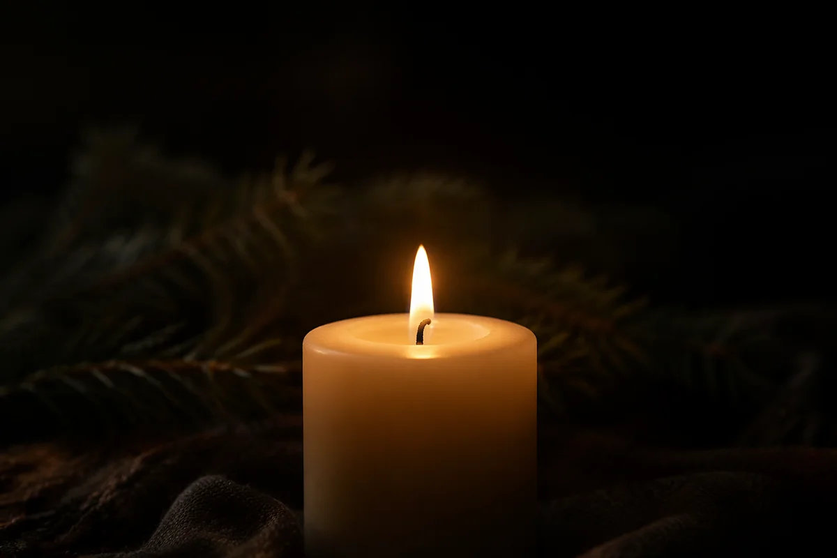 Burning Ivory Candle in Evergreen Darkness