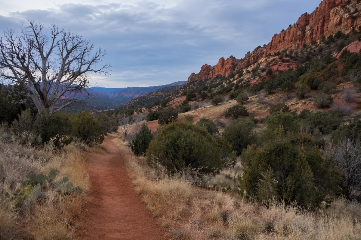 Quiet Desert Pilgrimage Through Evergreen Canyon