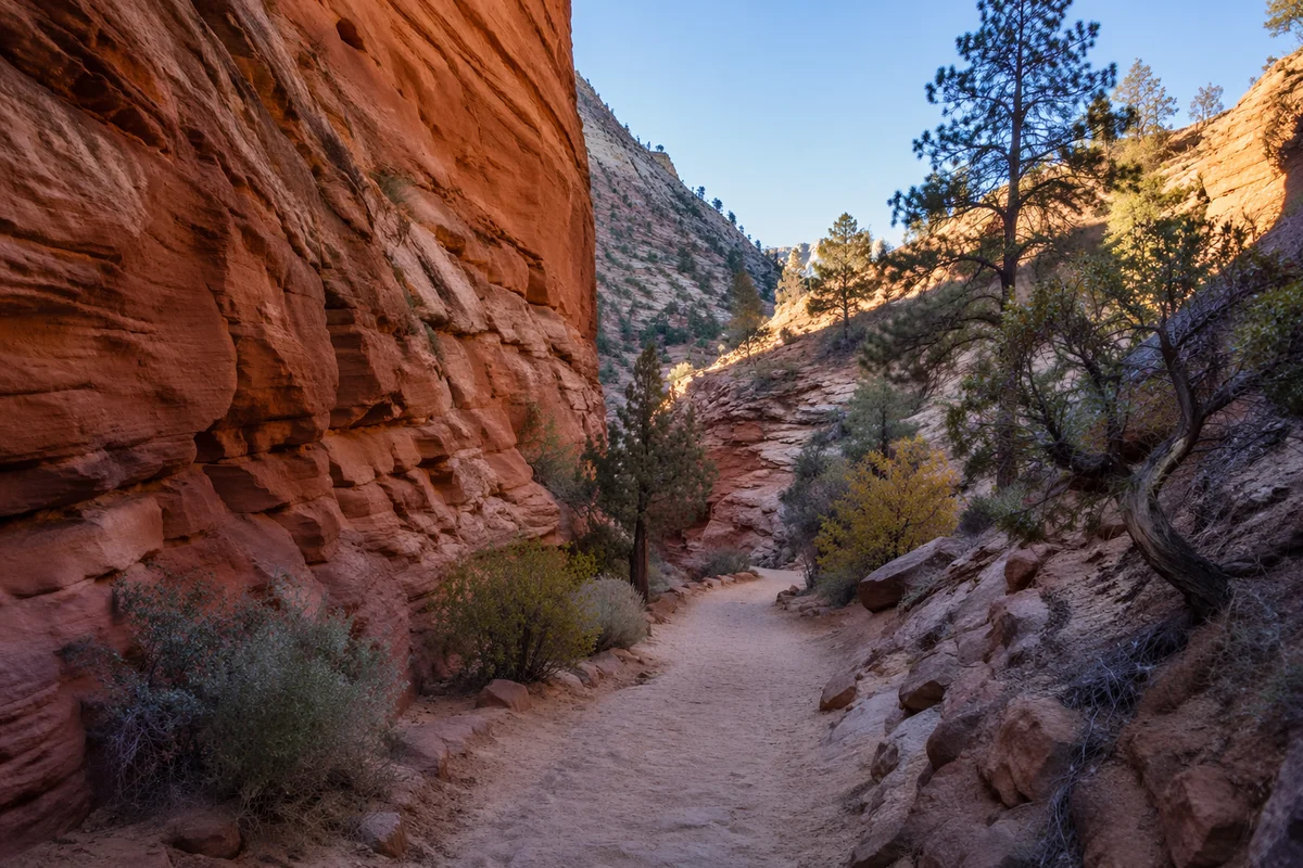 Evergreen Desert Path Through Red Canyon