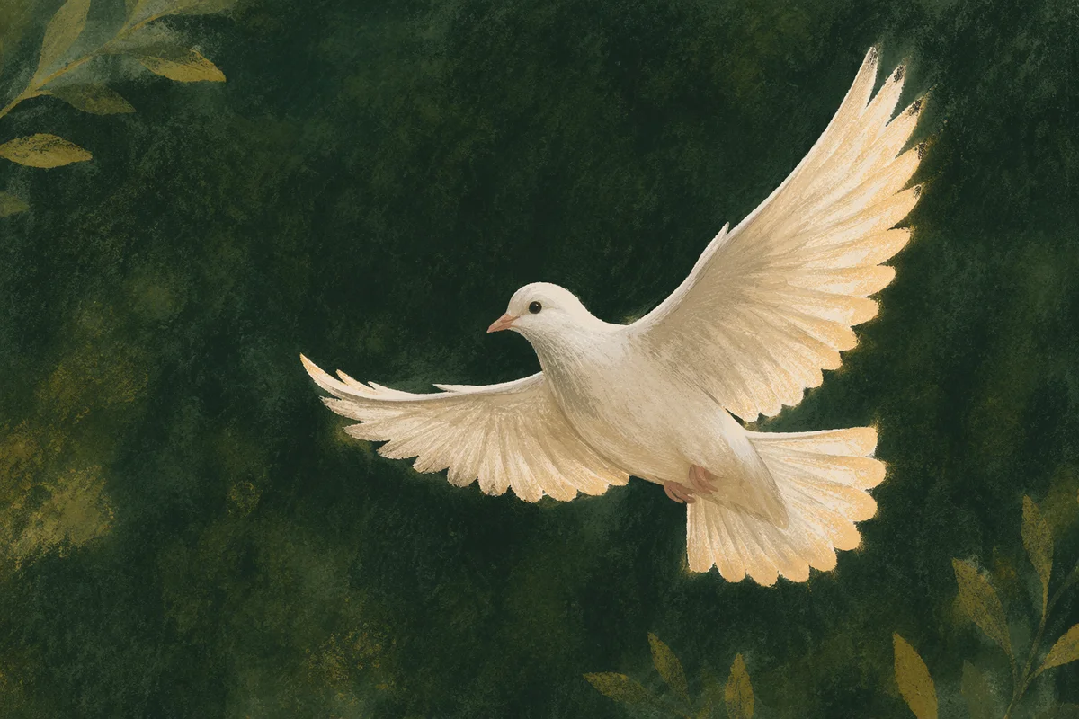 White Dove in Evergreen Light