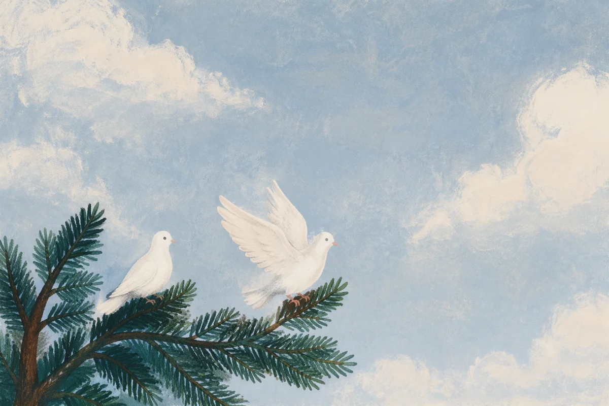 White Doves Resting in Evergreen Branches