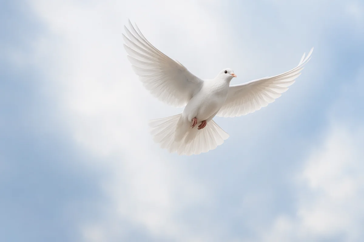 White Dove Flying Through Luminous Holy Sky