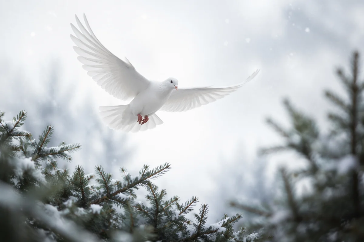 White Dove Over Evergreen Winter Sky