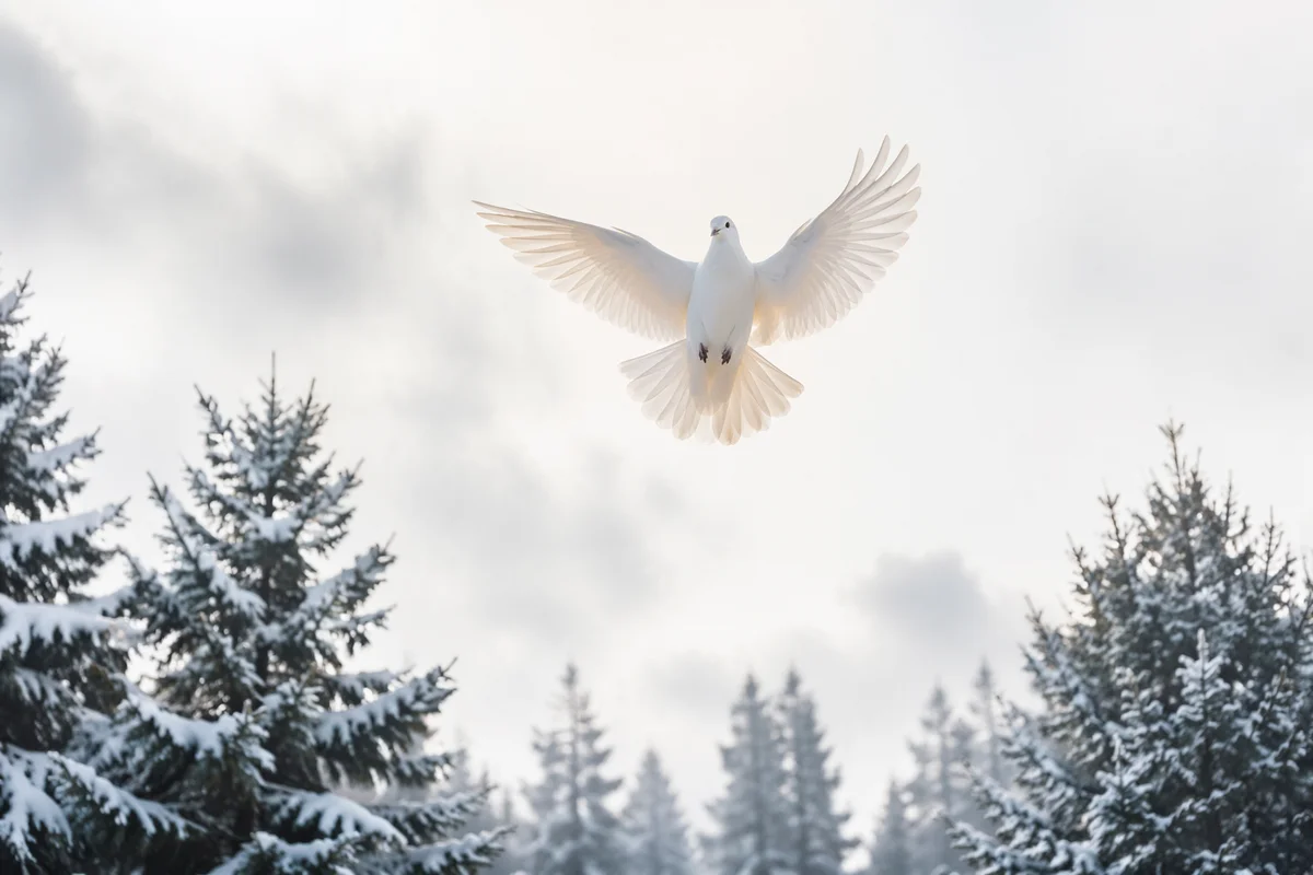 White Dove Over Evergreen Winter Sky