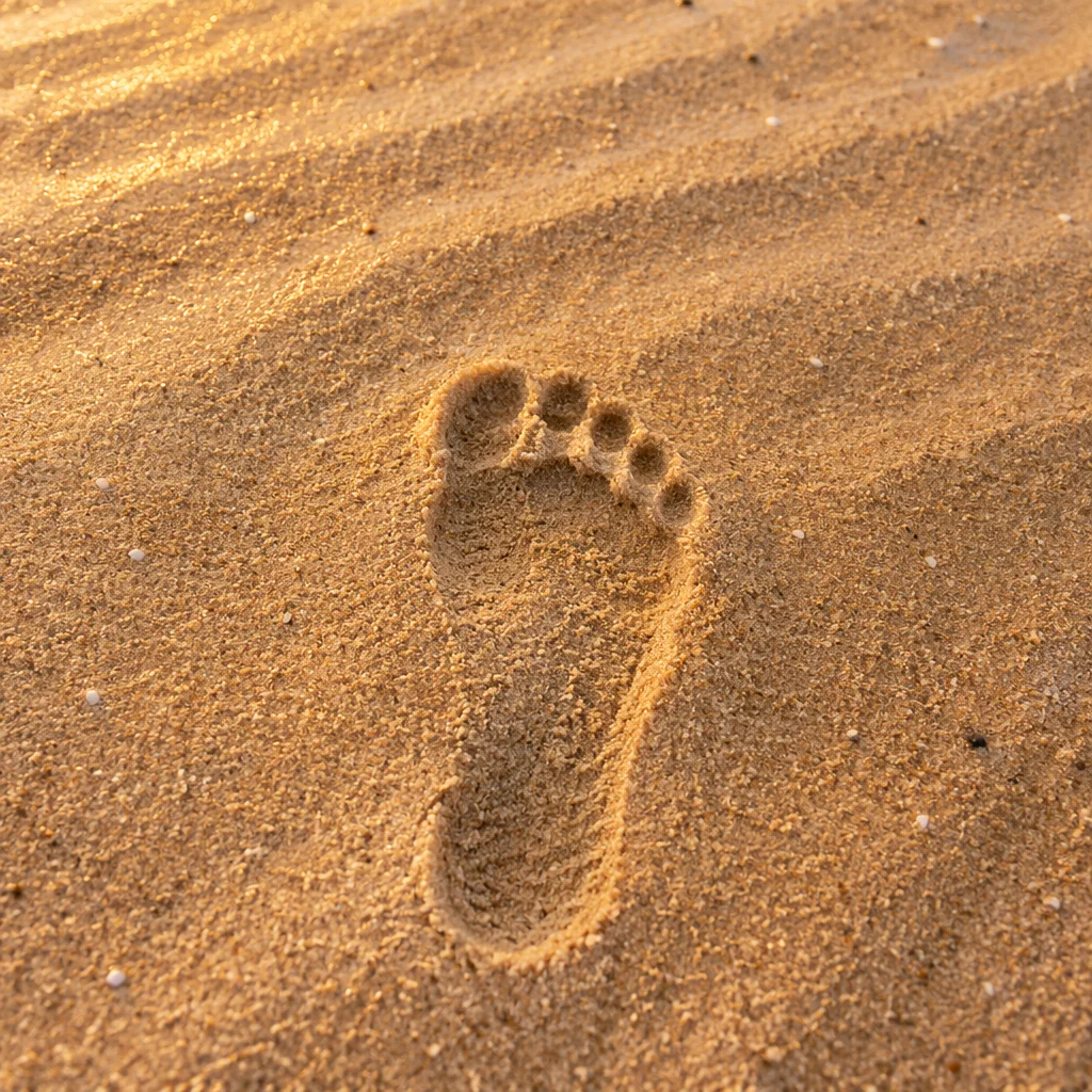 Bare Footprint in Sunrise Beach Sand