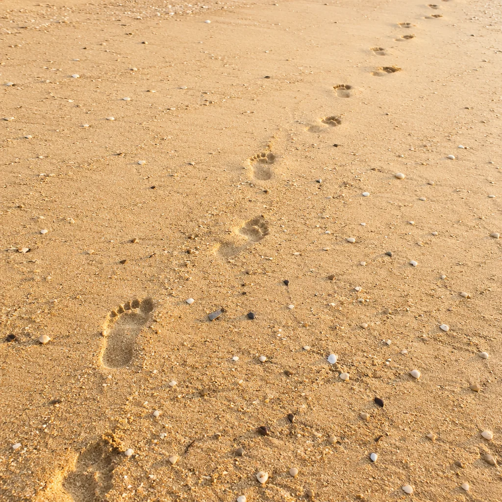 Sunrise Footprints Across Golden Beach Sand