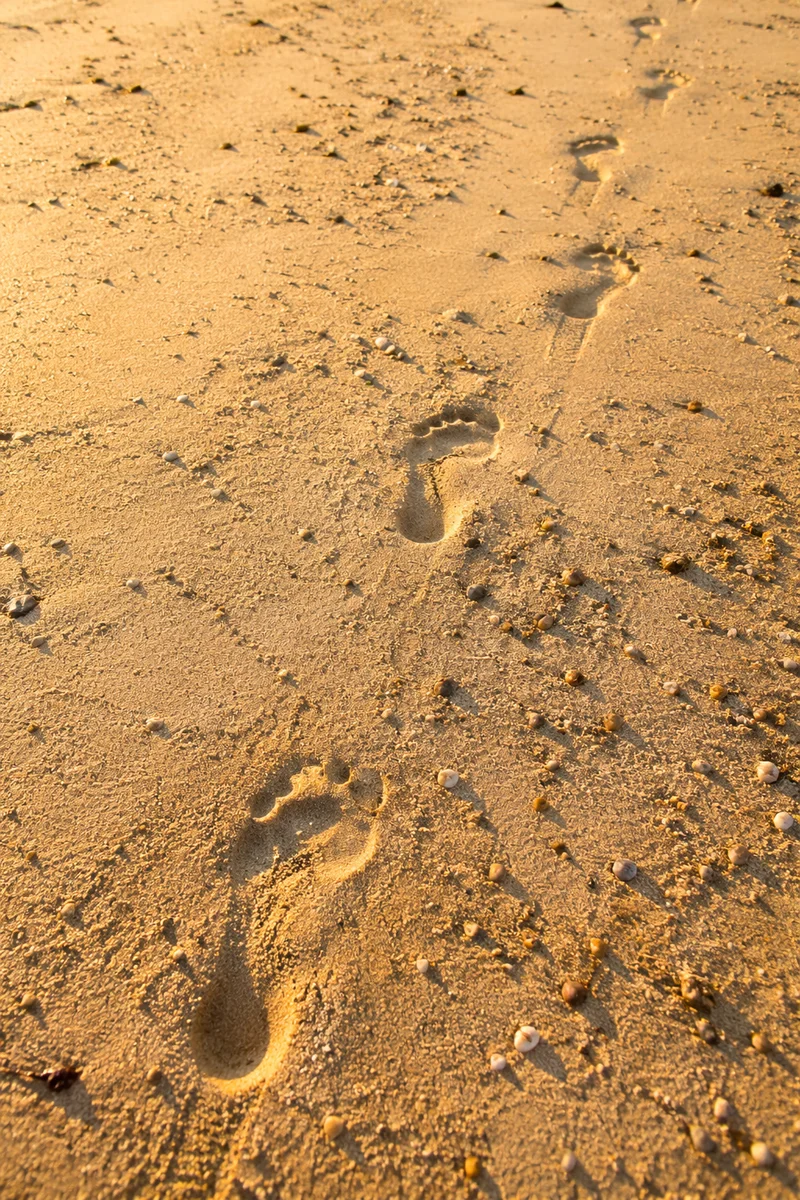 Sunrise Footprints Across Golden Beach Sand