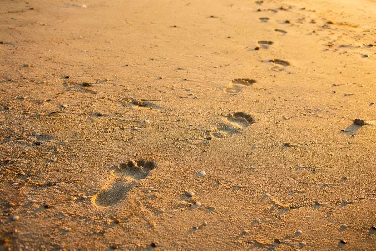 Bare Footprints on Sunrise Beach Sand
