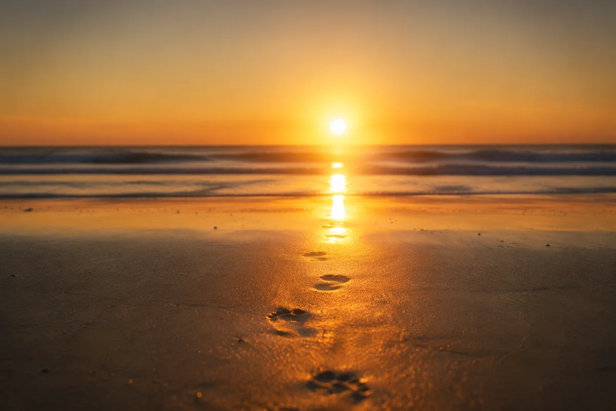 Footprints on Sunrise Beach Shoreline