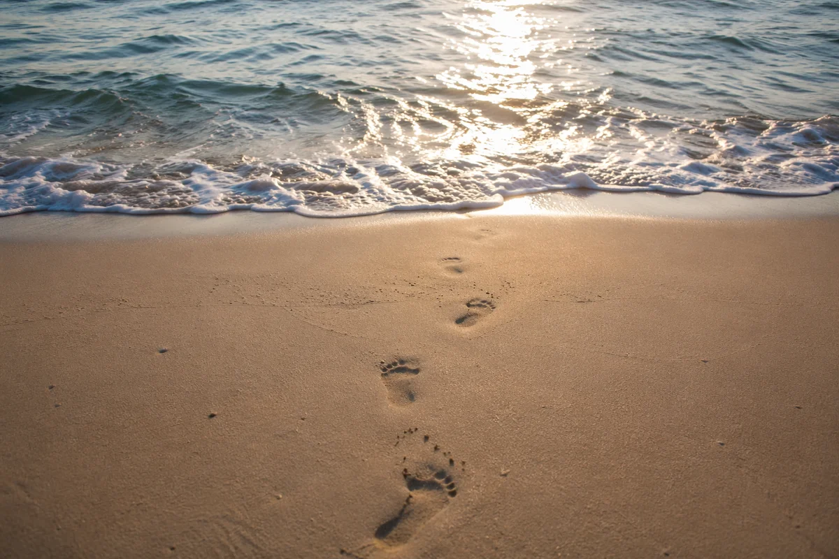 Footprints in Sand at Beach Sunrise