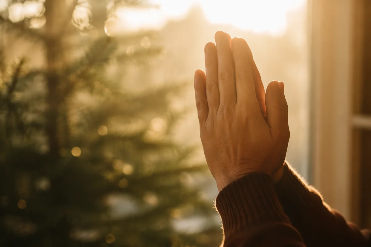 Praying Hands in Soft Morning Light