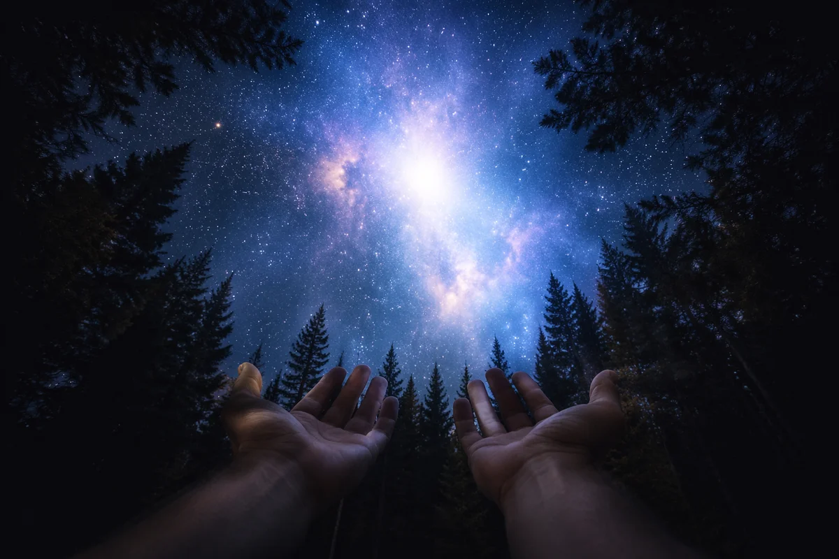 Hands Reaching Toward Celestial Forest Light