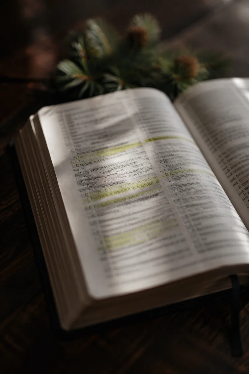 Evergreen Highlighted Bible Study Close Up
