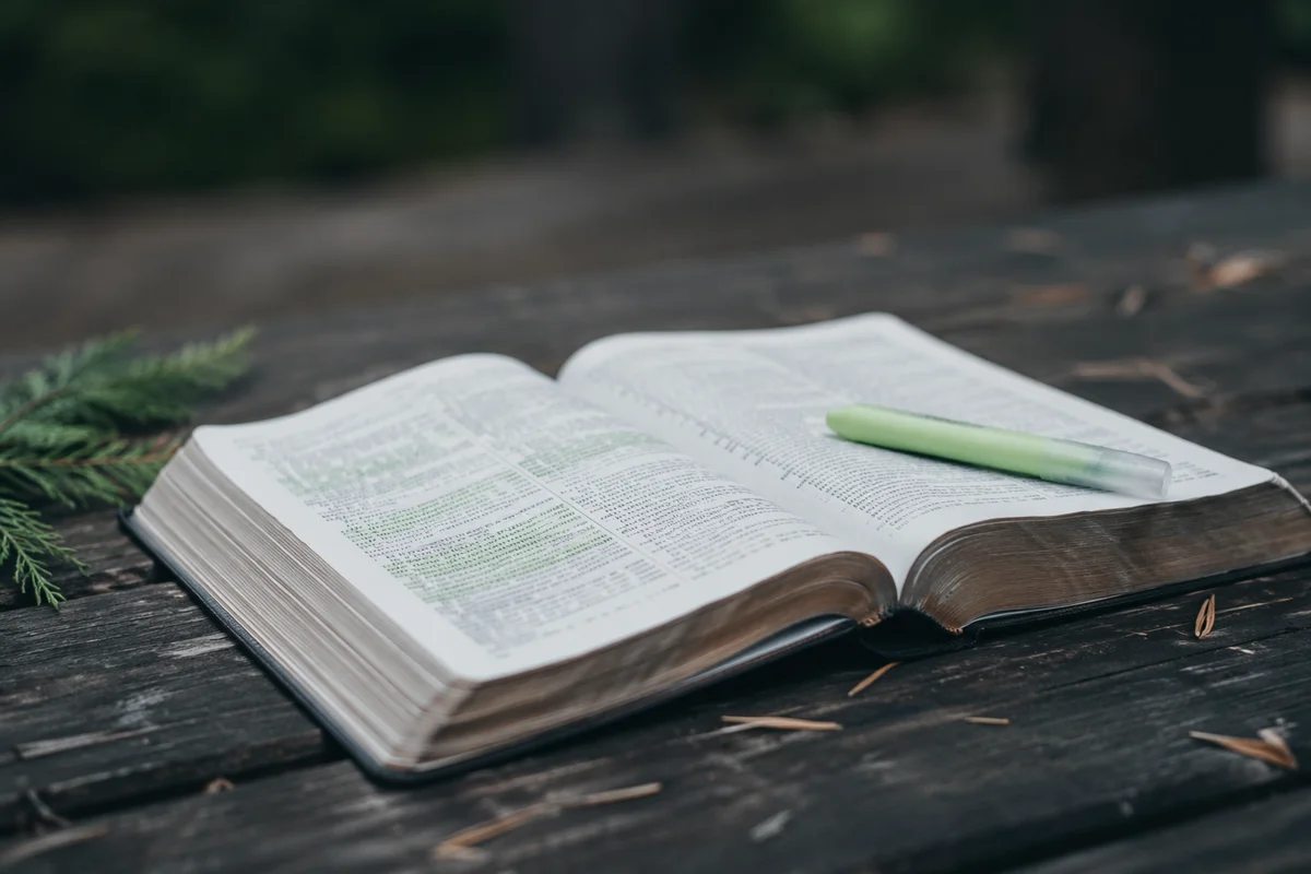 Evergreen Highlighter on Open Bible Pages