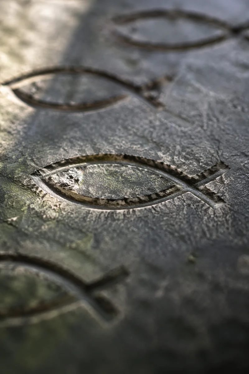 Ancient Ichthys Carvings on Weathered Stone