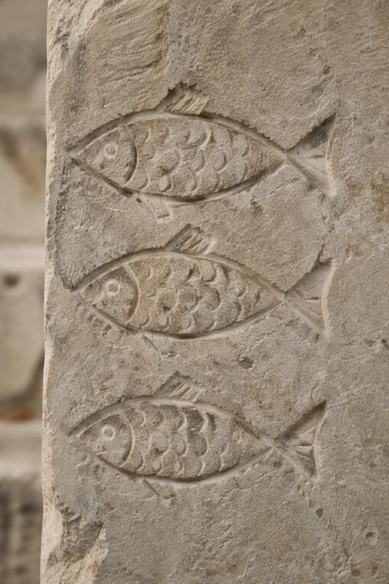 Ancient Ichthys Fish Carvings in Limestone