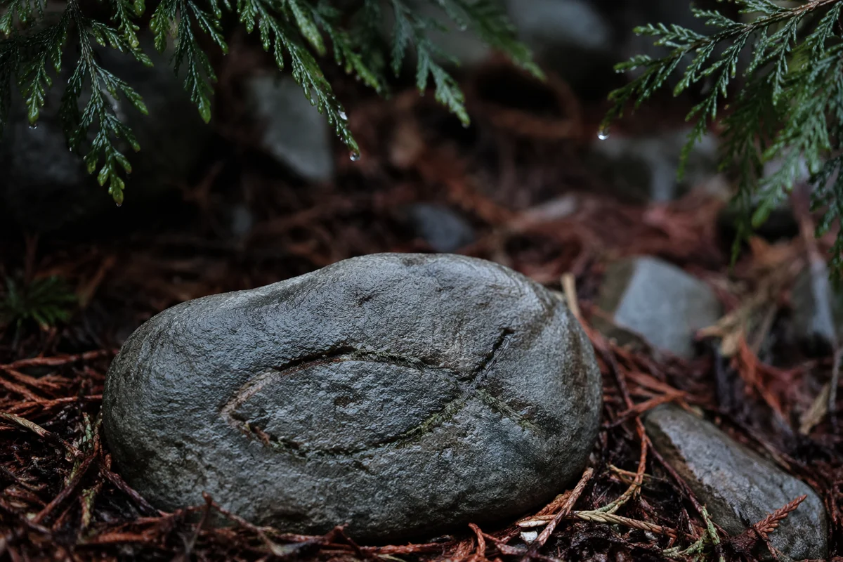 Ancient Ichthys Stone on Evergreen Needles