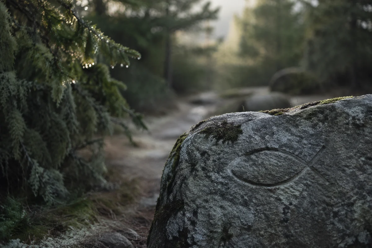 Ancient Ichthys Stone by Evergreen Path