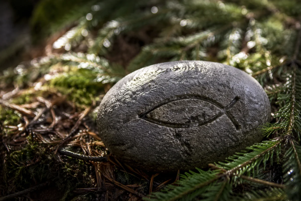 Carved Ichthys Stone on Evergreen Forest Floor