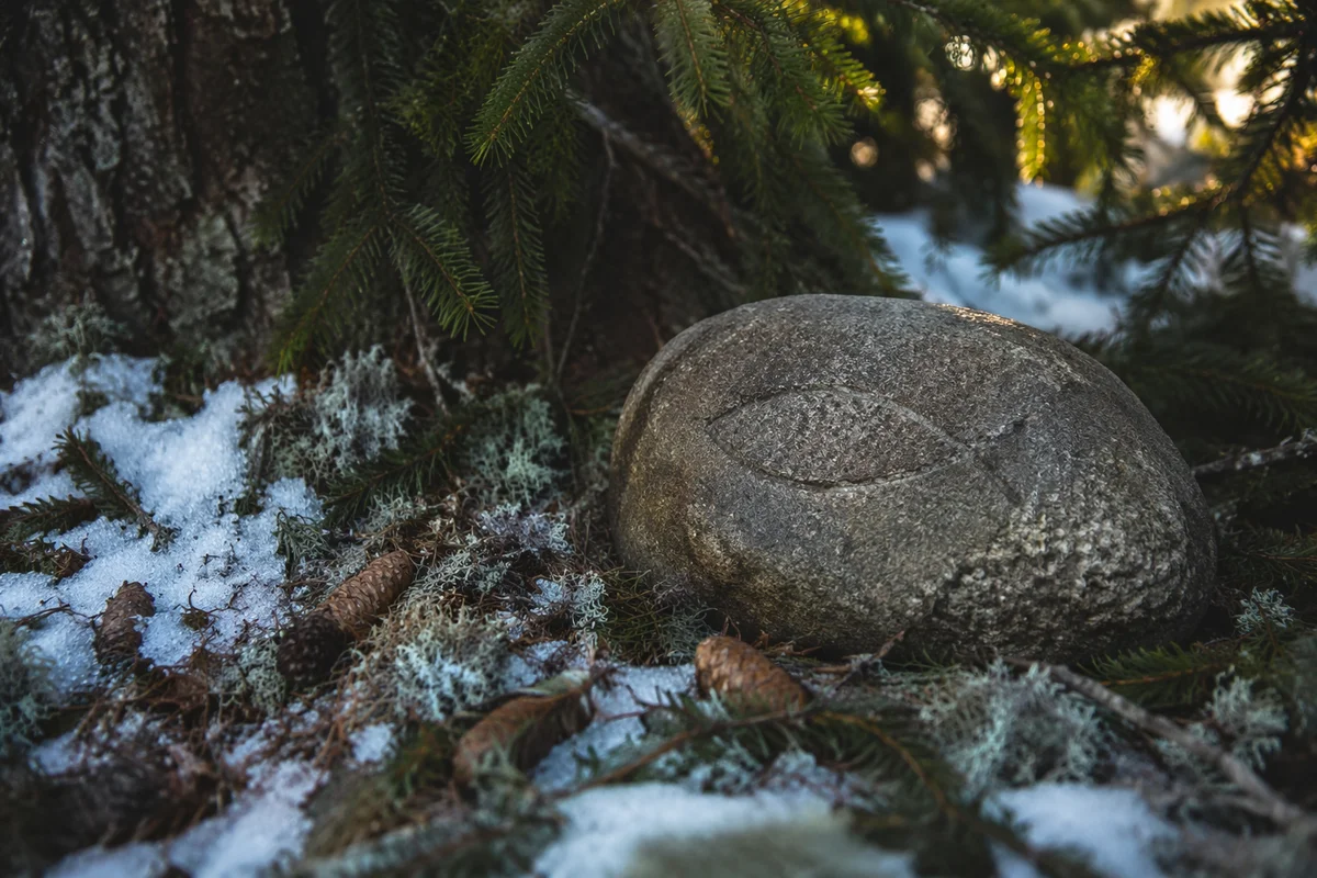 Carved Ichthys Stone in Winter Evergreen
