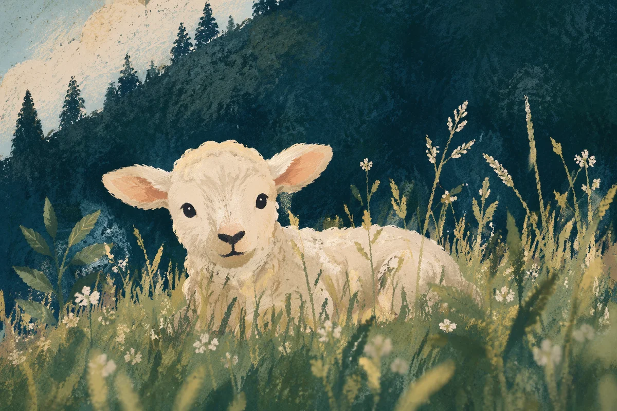 Gentle Lamb Resting in Evergreen Meadow