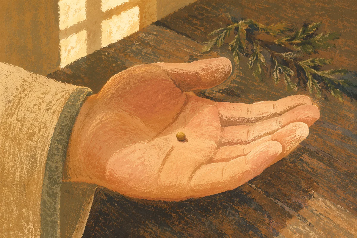 Mustard Seed Resting in an Open Palm