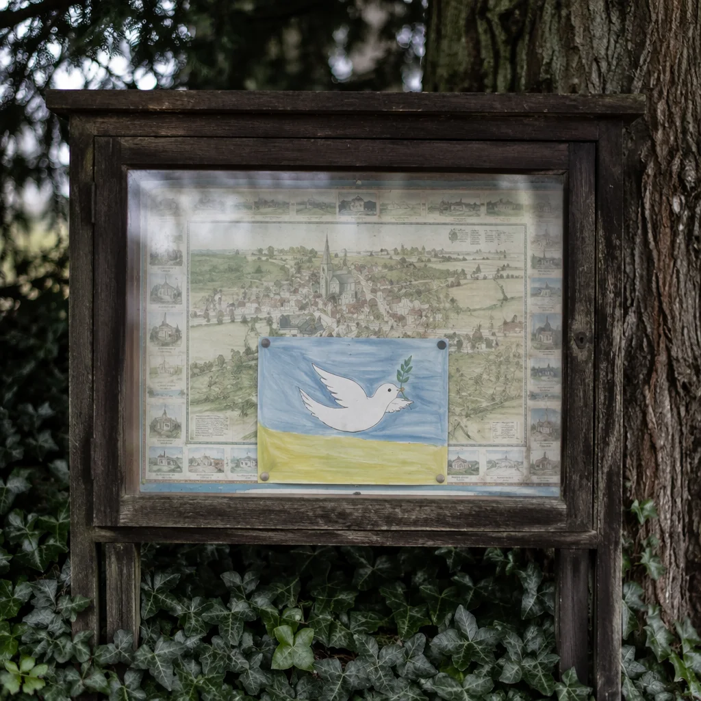 Olive Branch Dove on Evergreen Notice Board