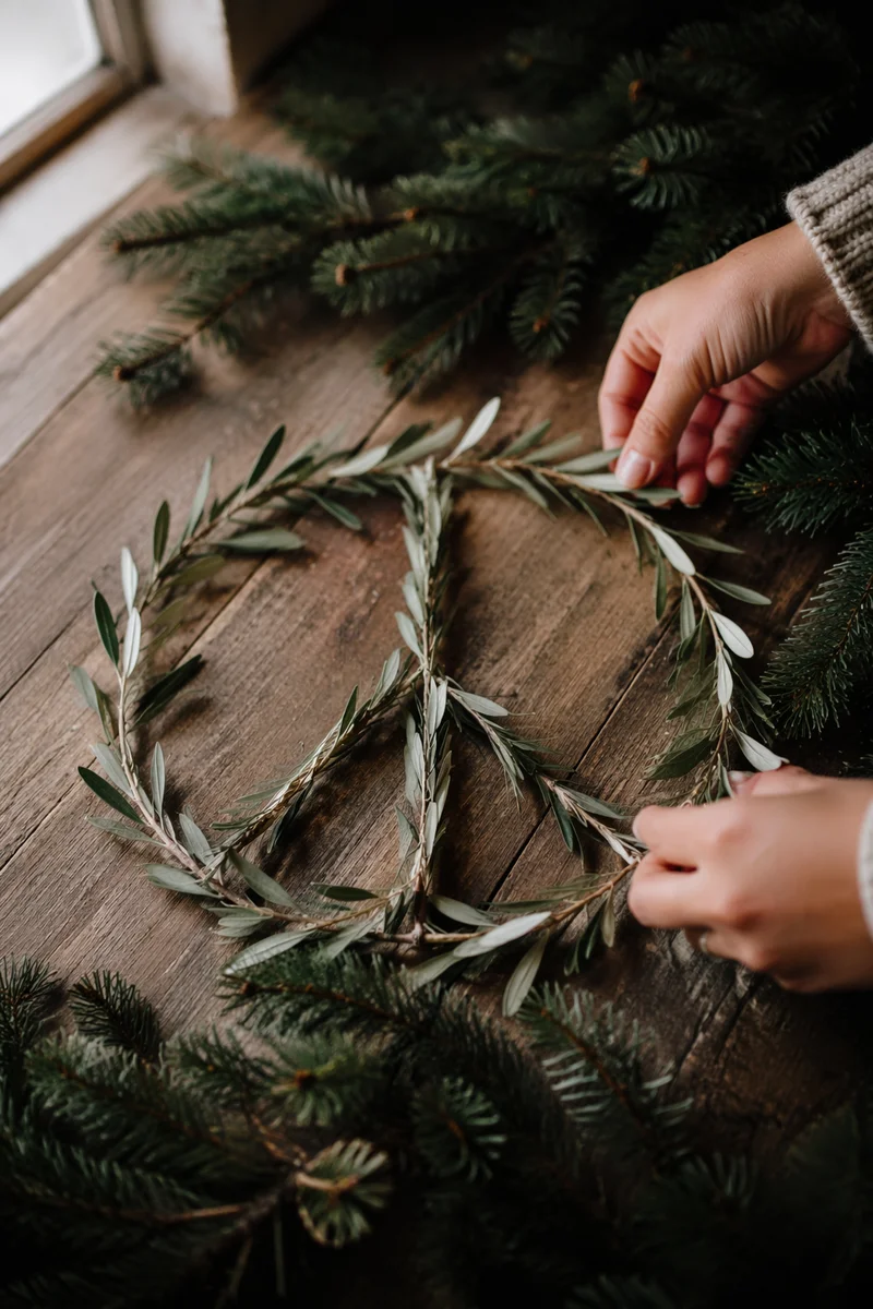 Olive Branch Peace Symbol with Evergreen Sprigs