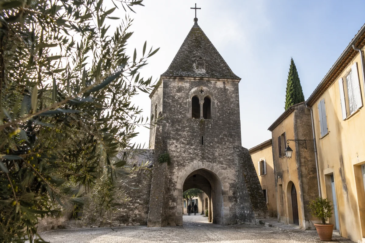 Olive Branch Framing Peaceful Church Gate