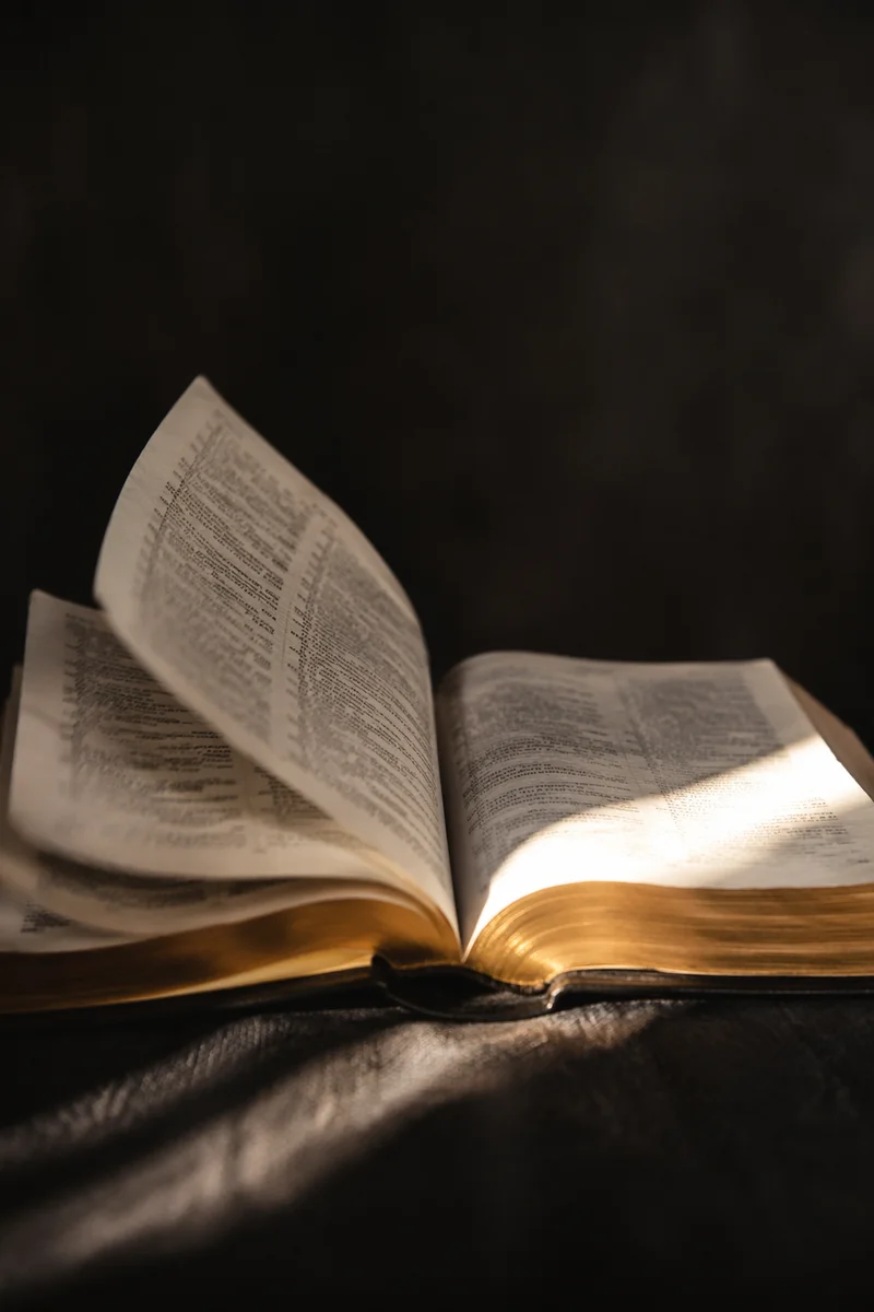 Open Bible Pages Turning in Sunlight