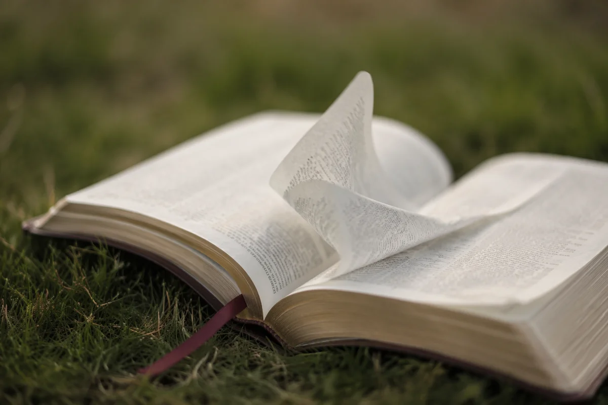 Open Bible Pages Turning in Breeze