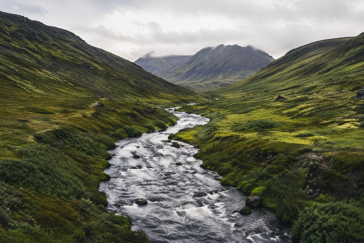Peaceful River Through Evergreen Valley
